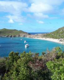 Charter to Colombier