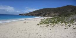 Saline beach St Barth