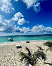 Charter to Sandy Island